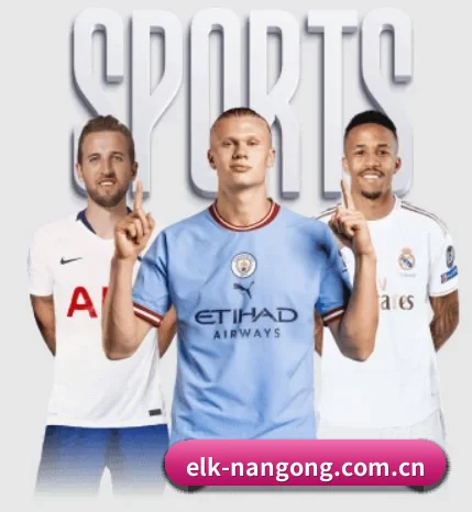 elk-nangong.com.cn的方向